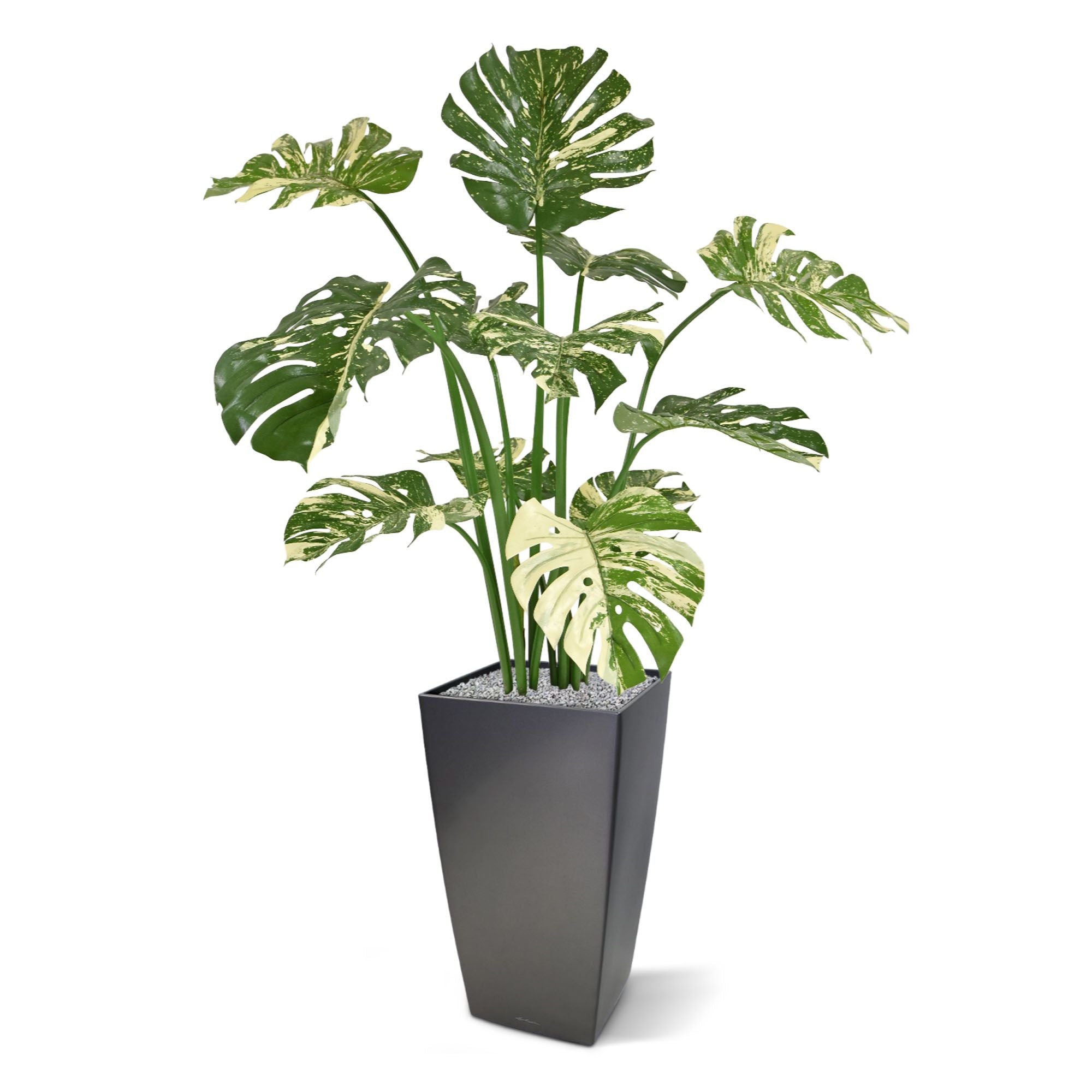 Monstera Deliciosa kunstplant 110m - groenbont