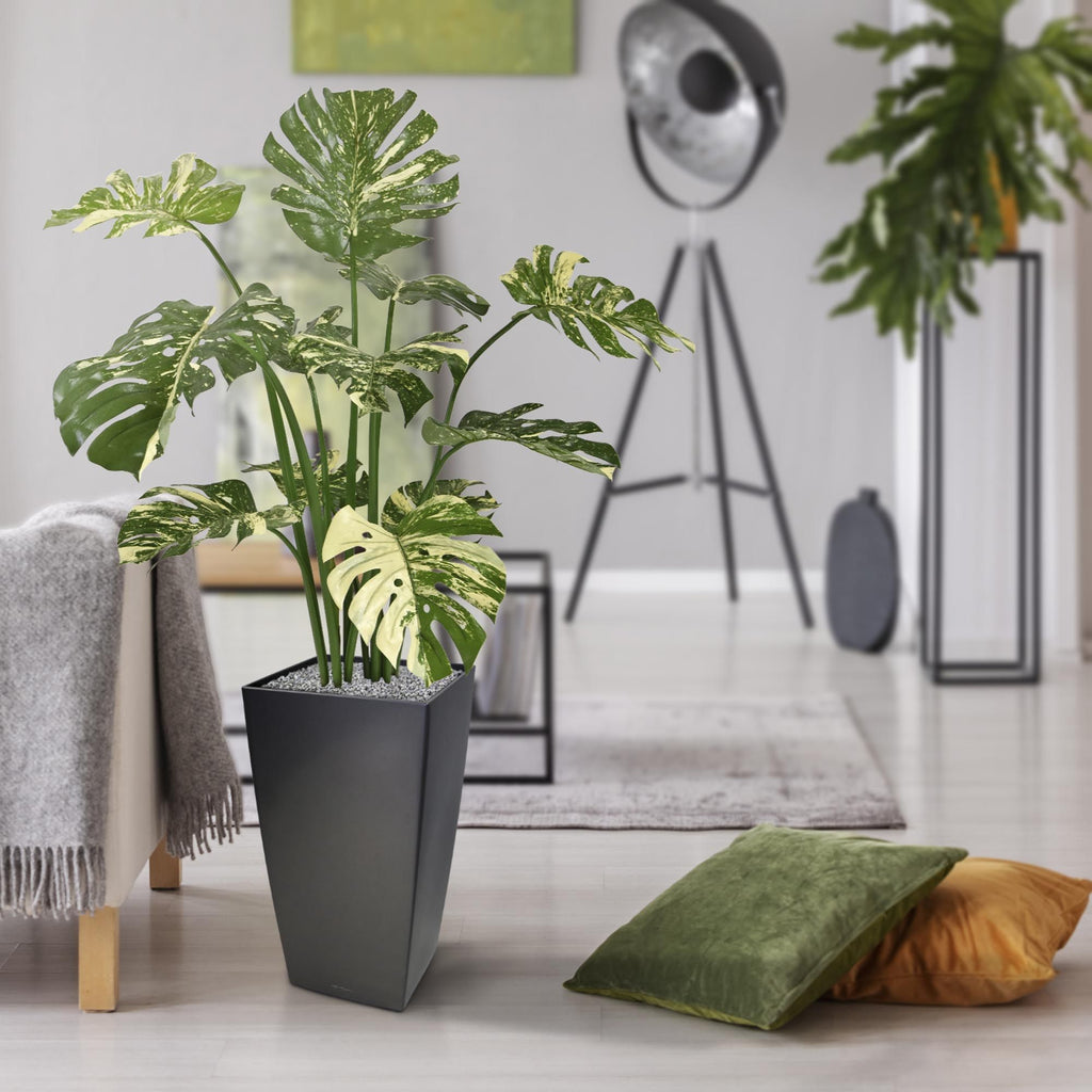 Monstera Deliciosa kunstplant 110m - groen/bont