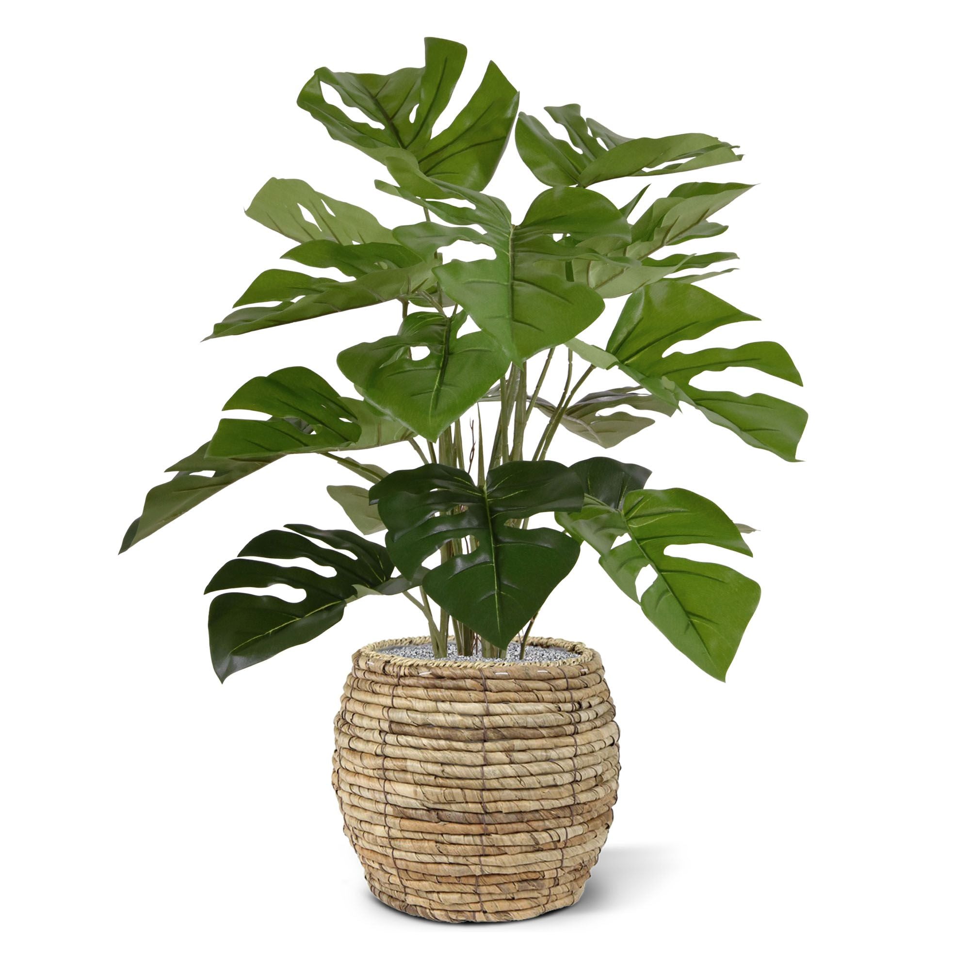 Monstera kunstplant 50cm