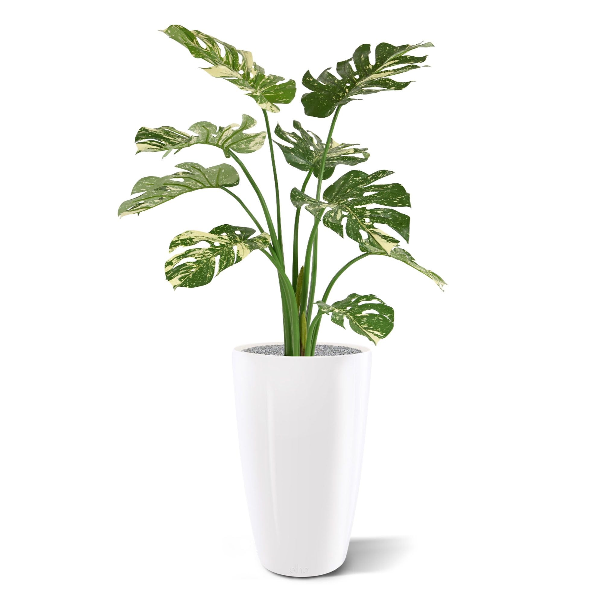 Monstera Deliciosa kunstplant 95cm - groen/bont