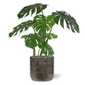 Monstera kunstplant 75cm RT