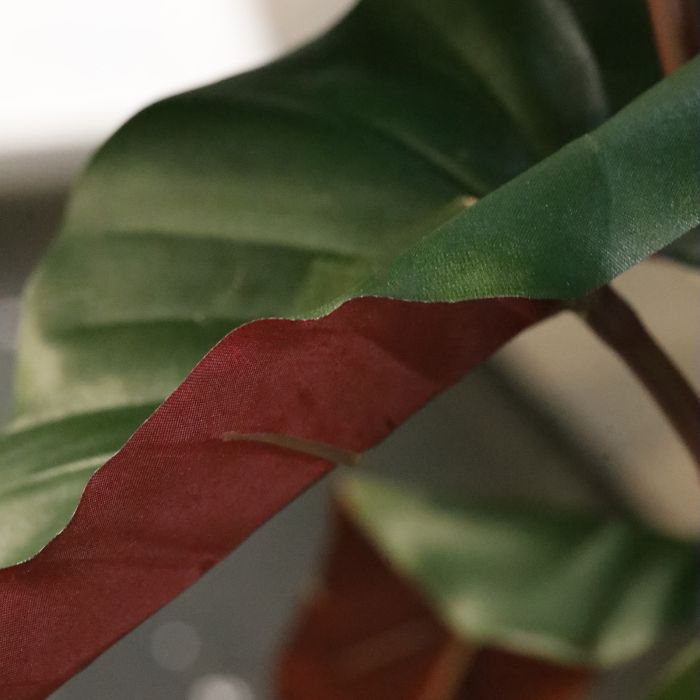 Philodendron XL kunstplant Deluxe 120cm Burgundy