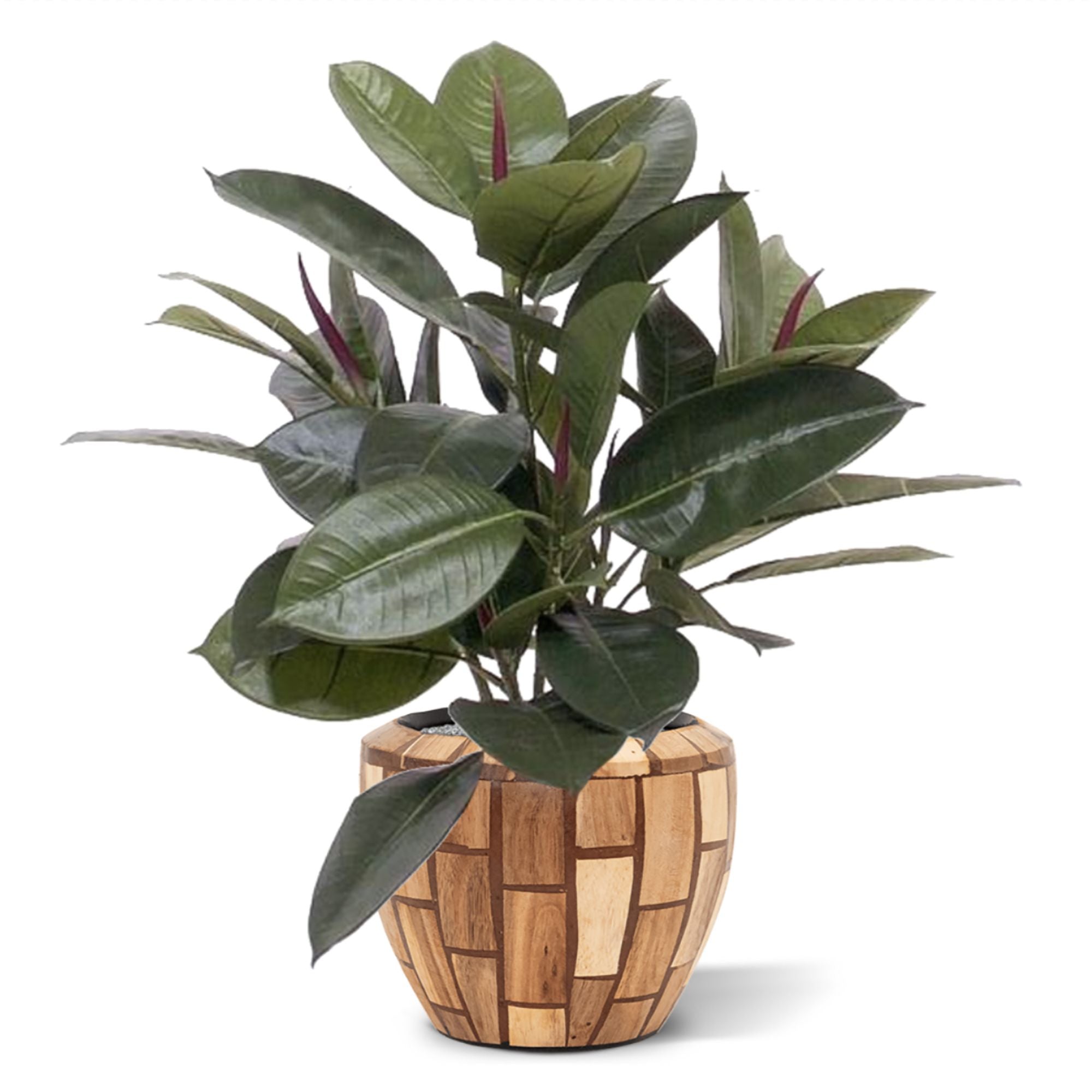 Philodendron Window kunstplant 50cm