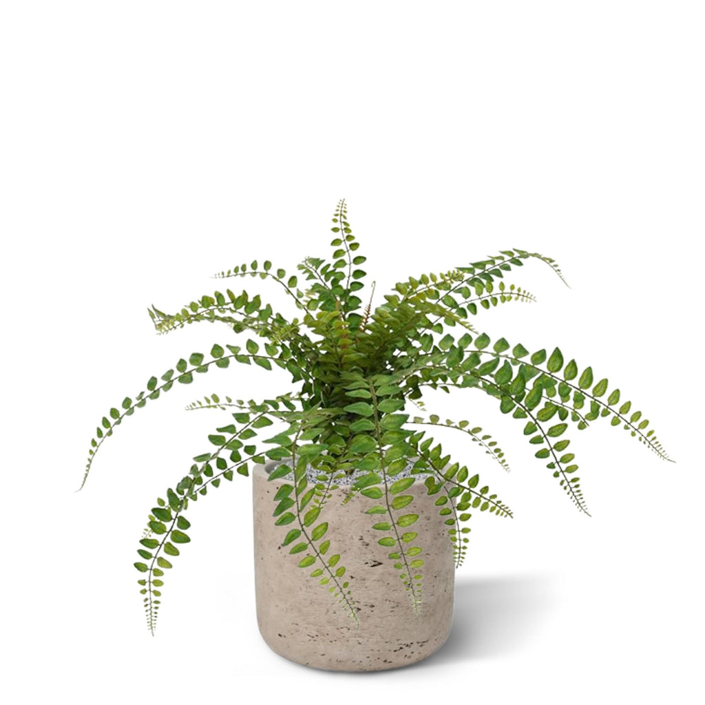 Rotundifolia Varen kunstplant 55cm (zonder kweekpotje)