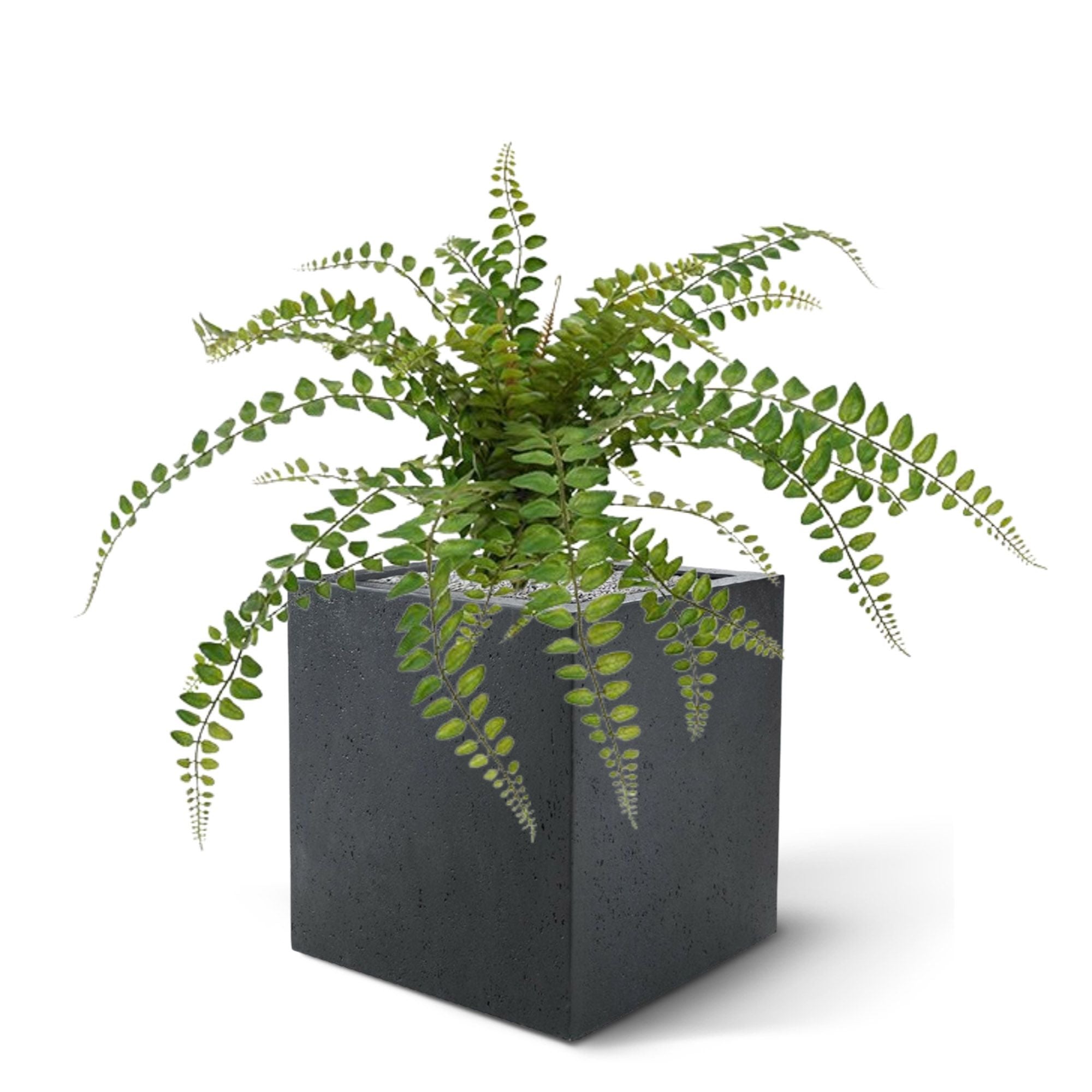 Rotundifolia Varen kunstplant 55cm (zonder kweekpotje)