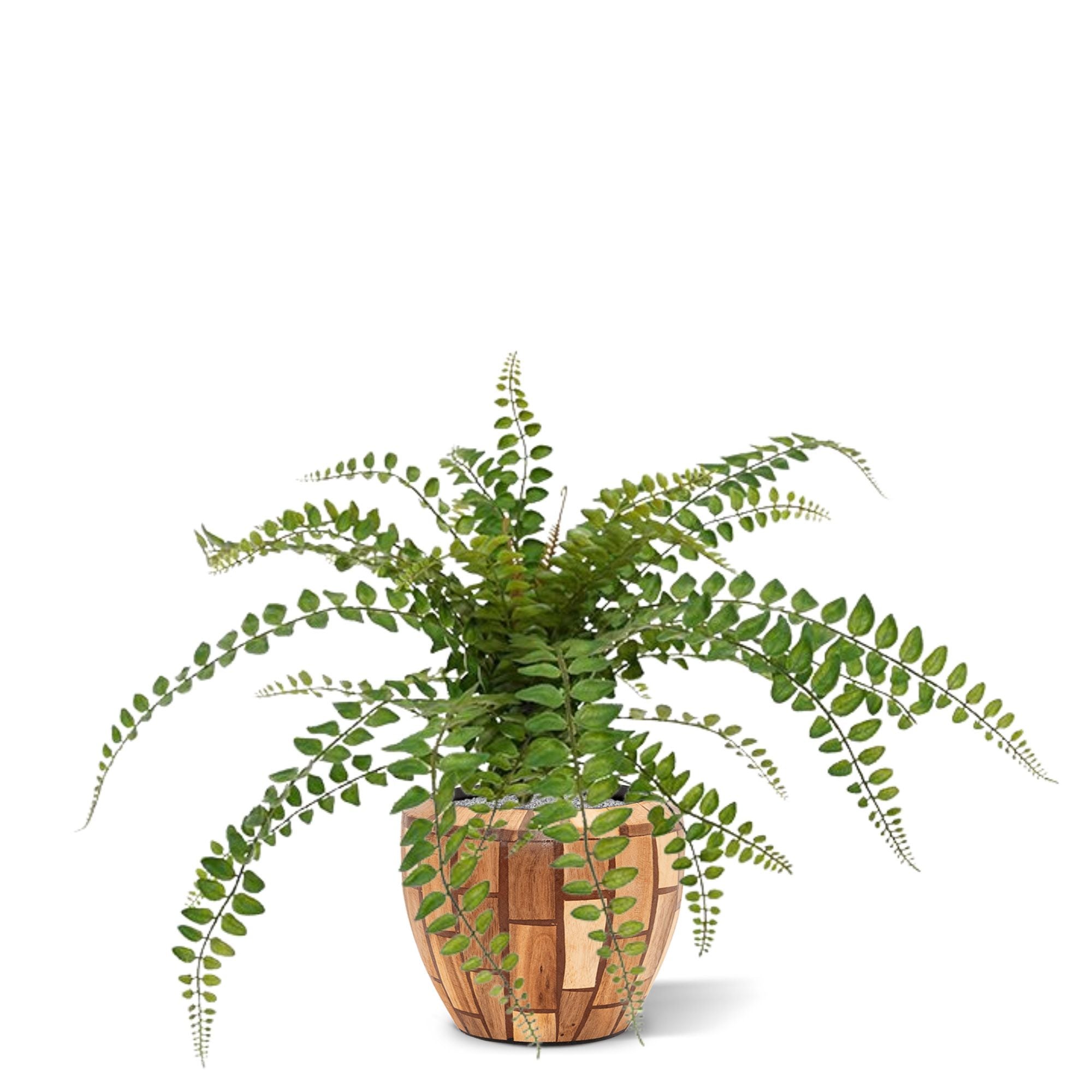 Rotundifolia Varen kunstplant 55cm (zonder kweekpotje)