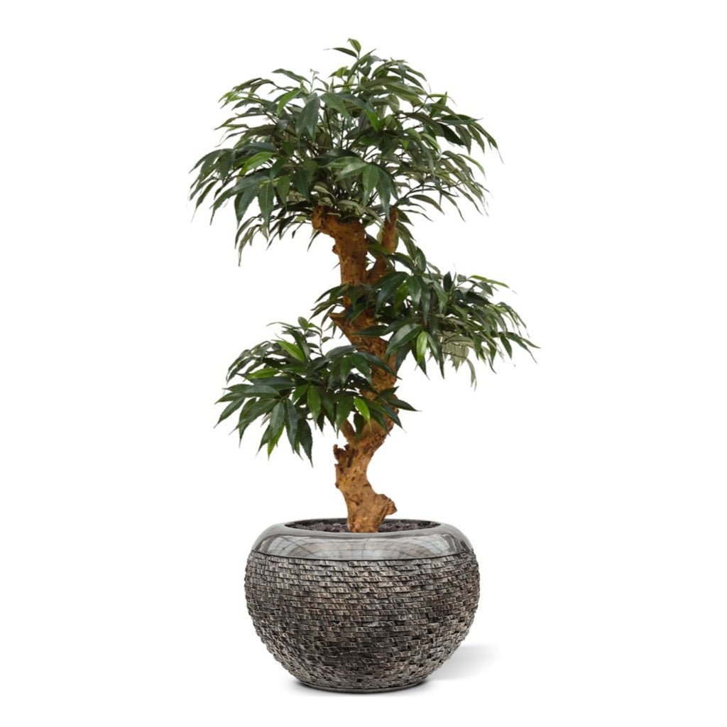 Shirakashi Bonsai x3 kunstboom op voet 80cm