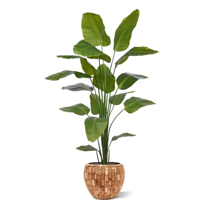 Strelitzia Nicolai kunstplant 210cm