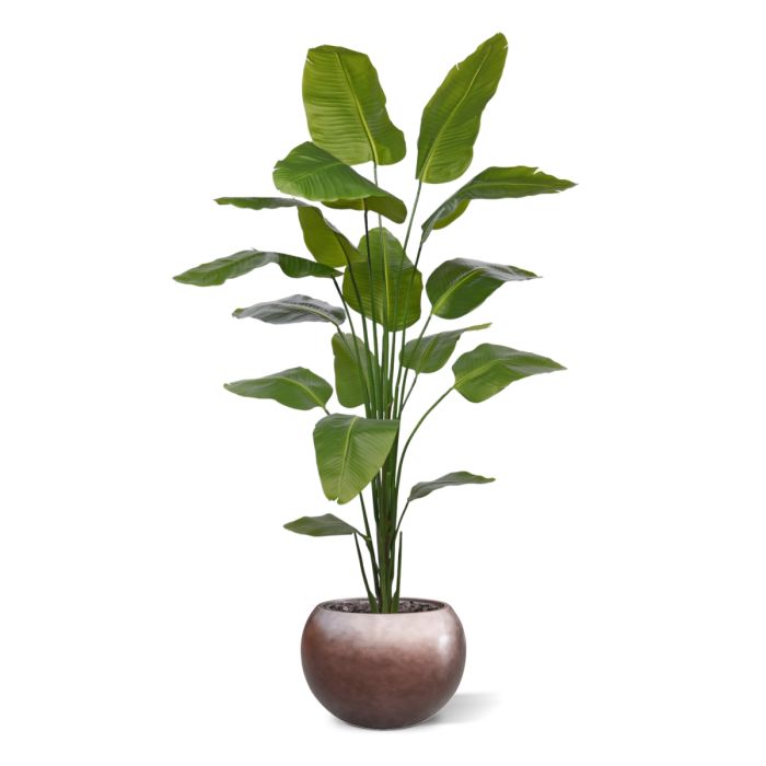 Strelitzia Nicolai kunstplant 210cm