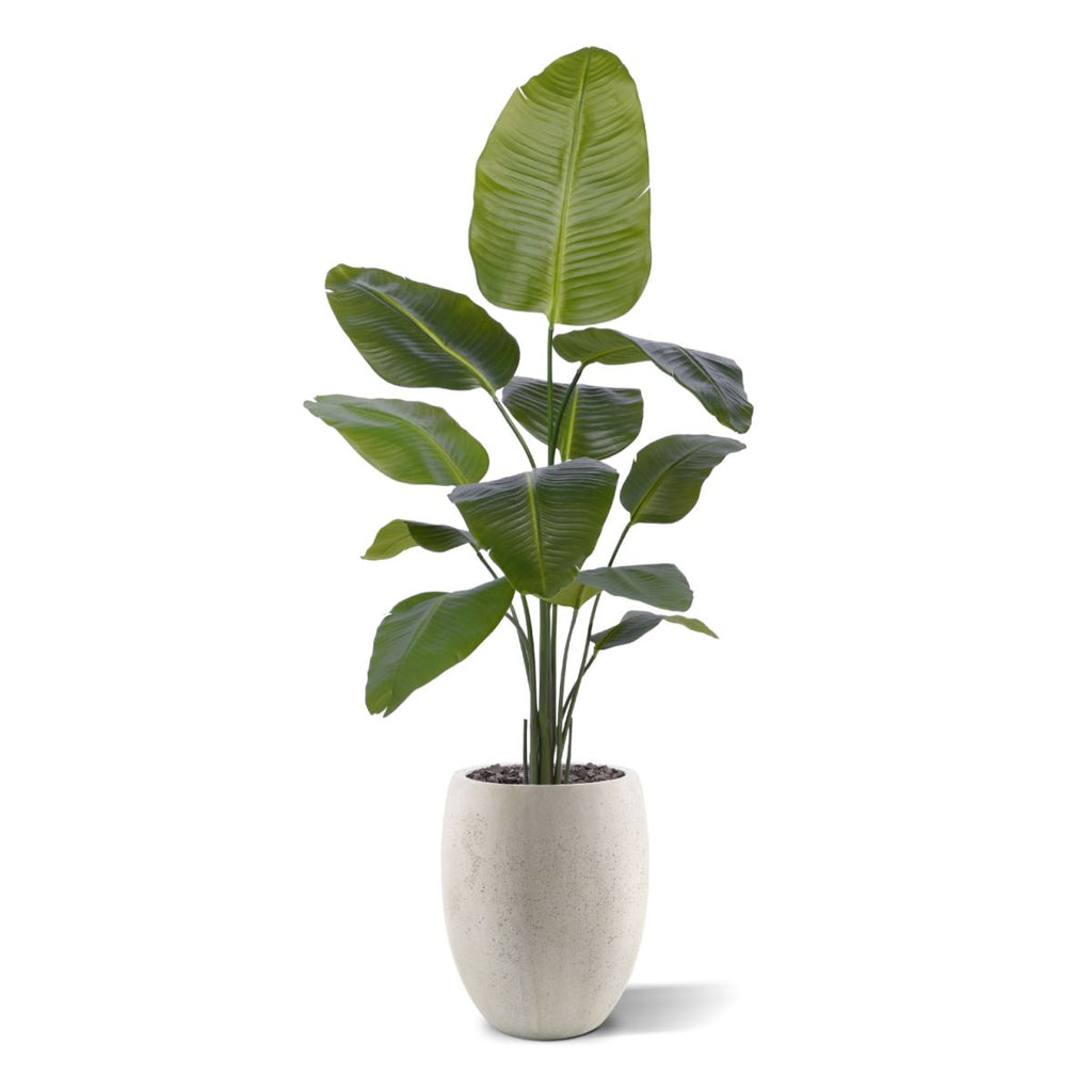 Strelitzia Nicolai kunstplant 150cm