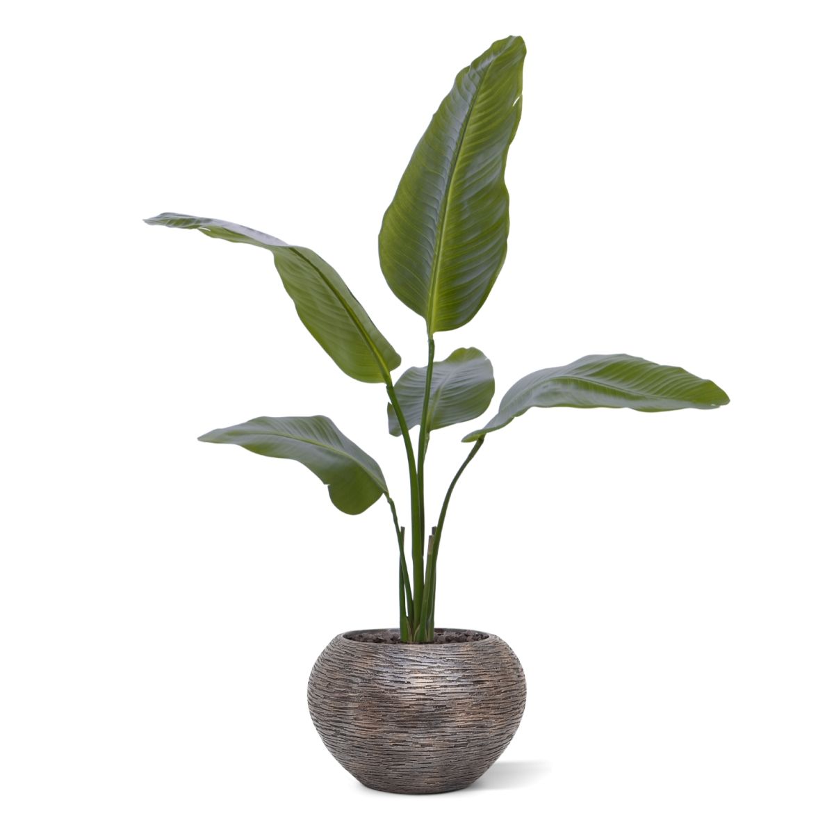 Strelitzia Nicolai kunstplant 90cm