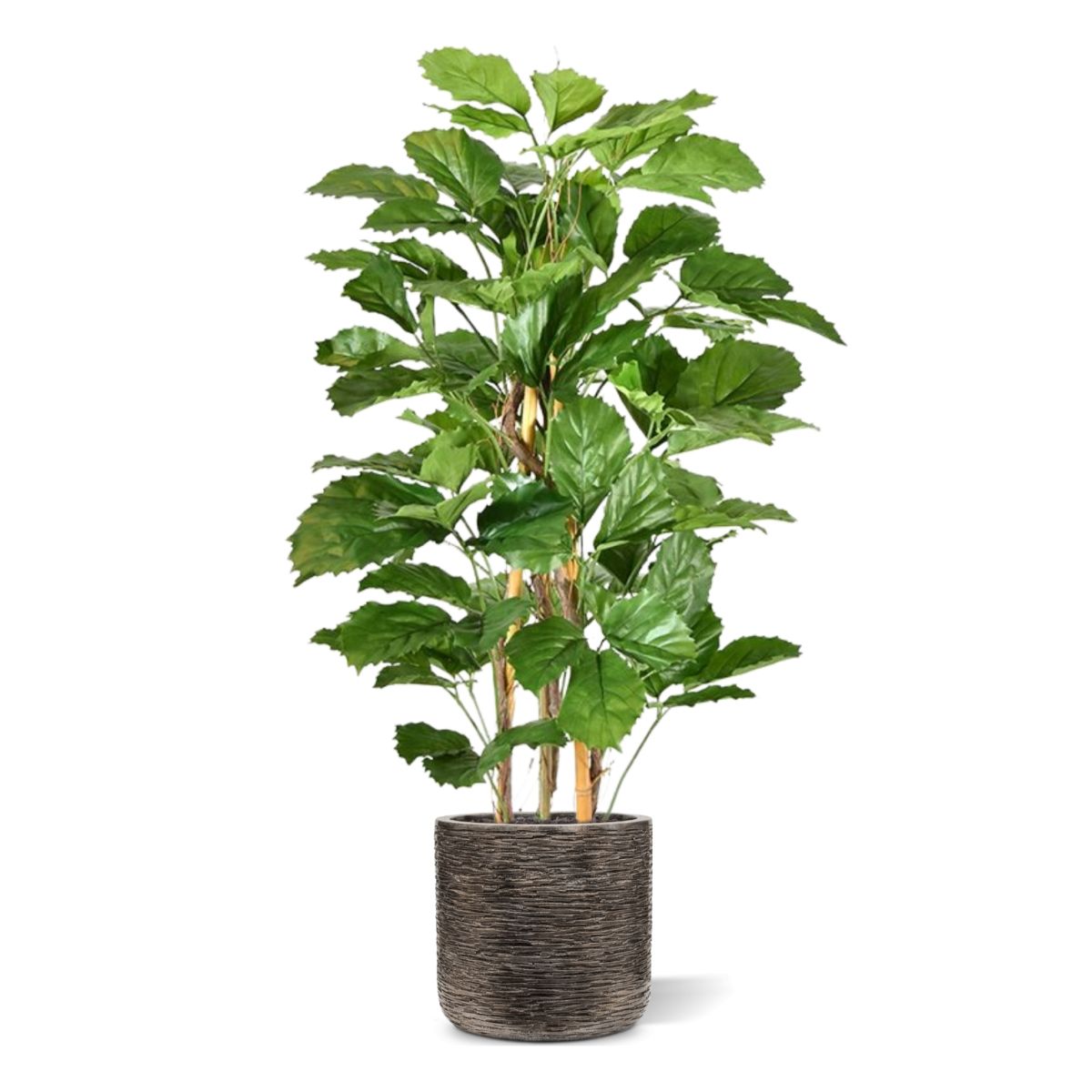 Tetrastigma kunstplant 120cm
