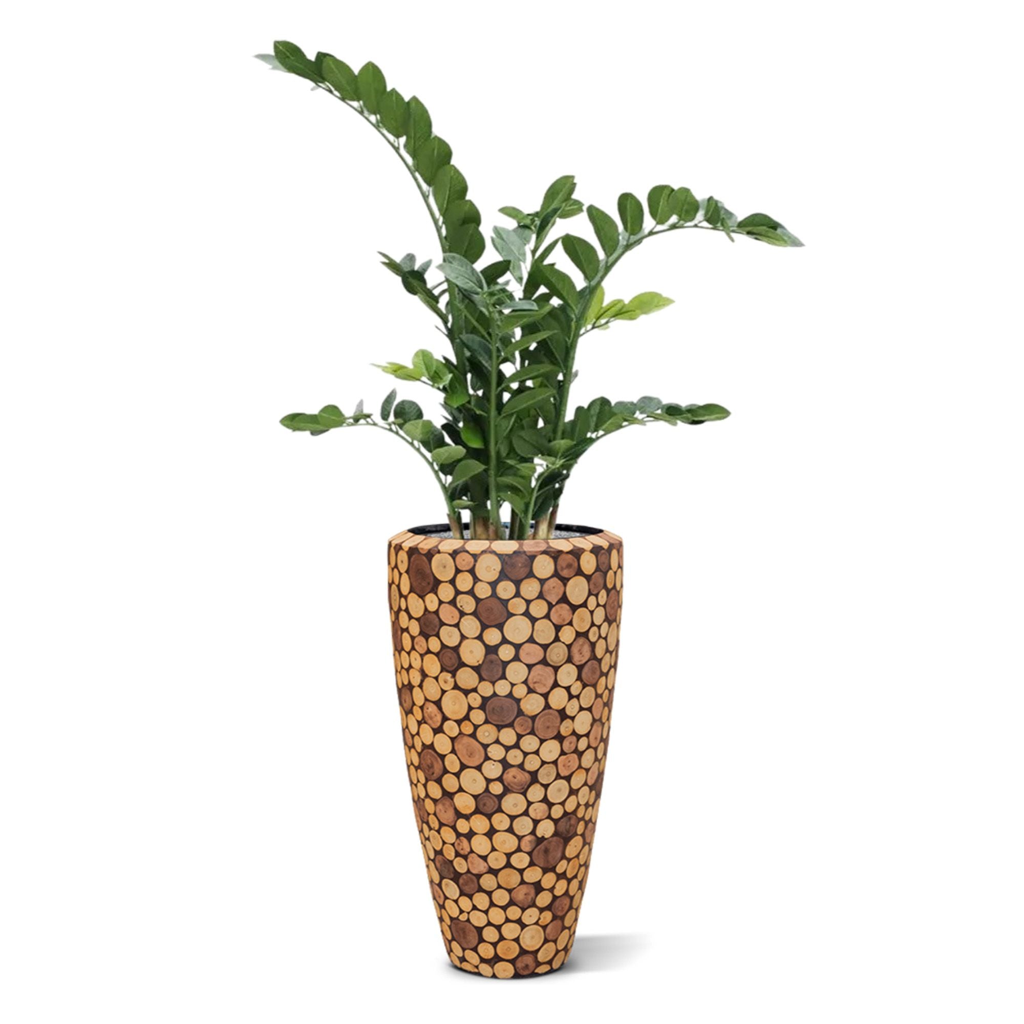 Zamioculcas kunstplant 100cm
