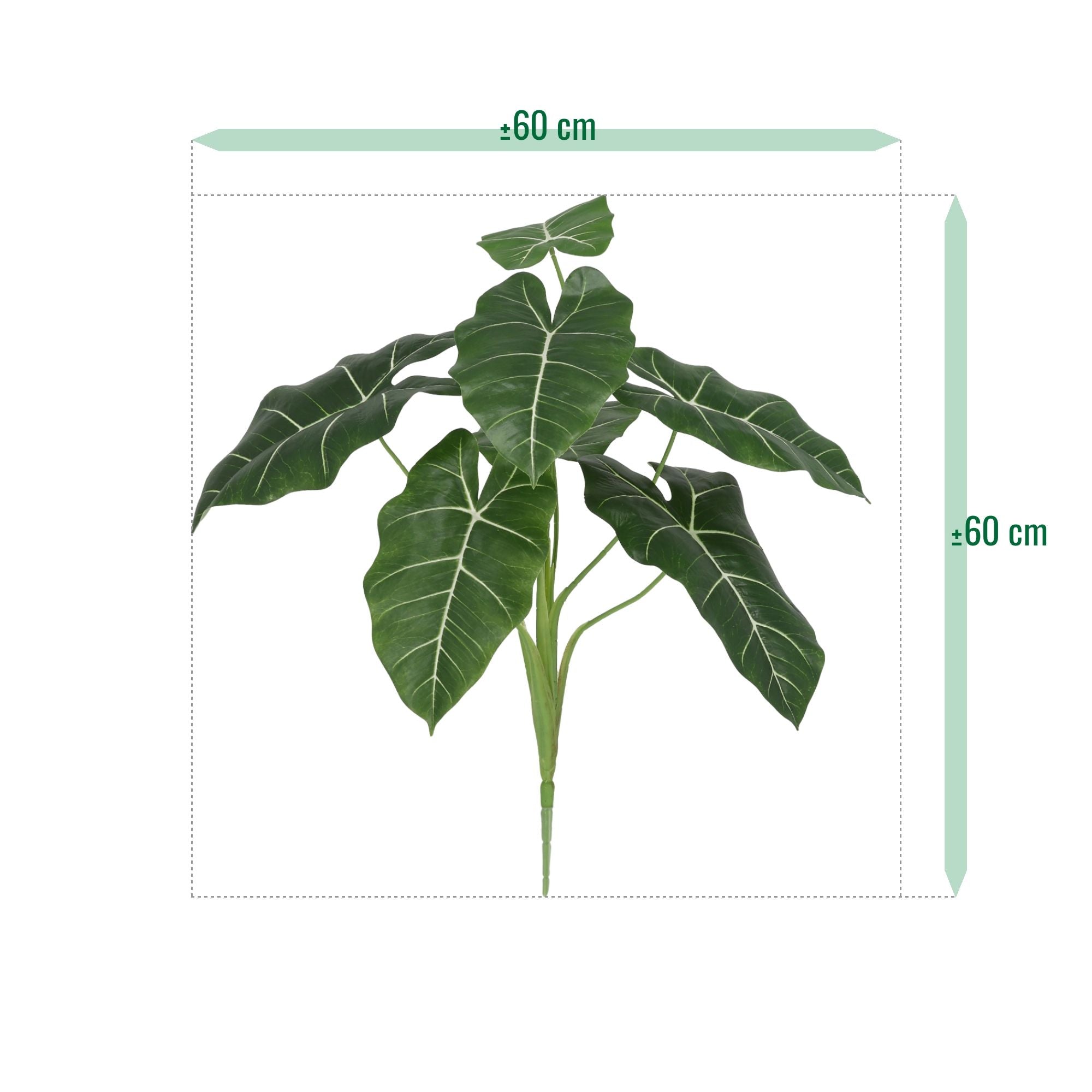 Alocasia Frydek Kunstplant 60cm Groen