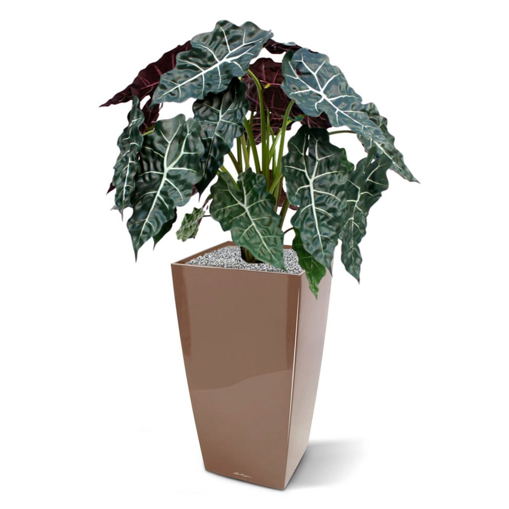 Alocasia kunstplant 75cm