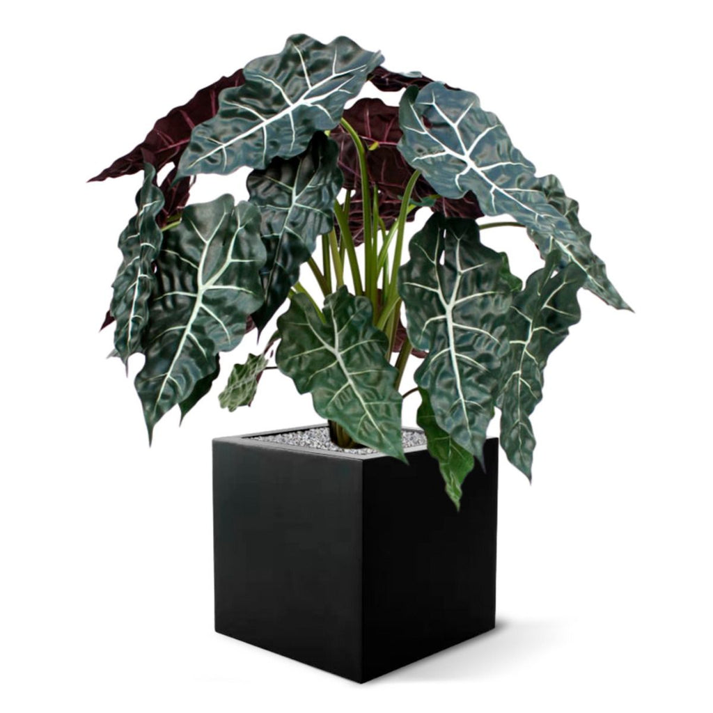Alocasia kunstplant 75cm