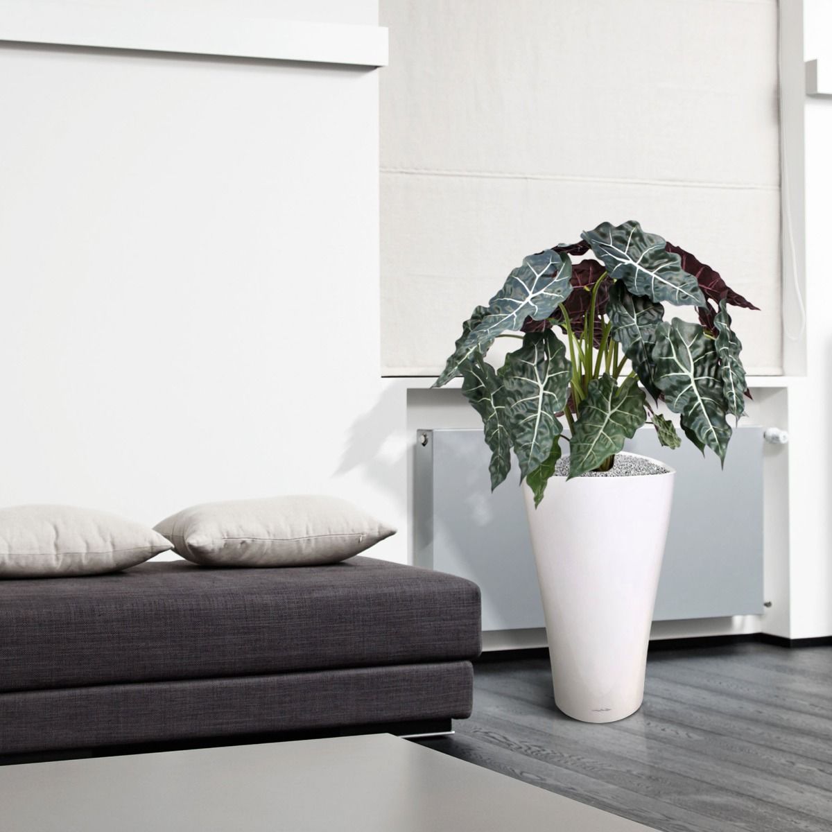 Alocasia kunstplant 75cm