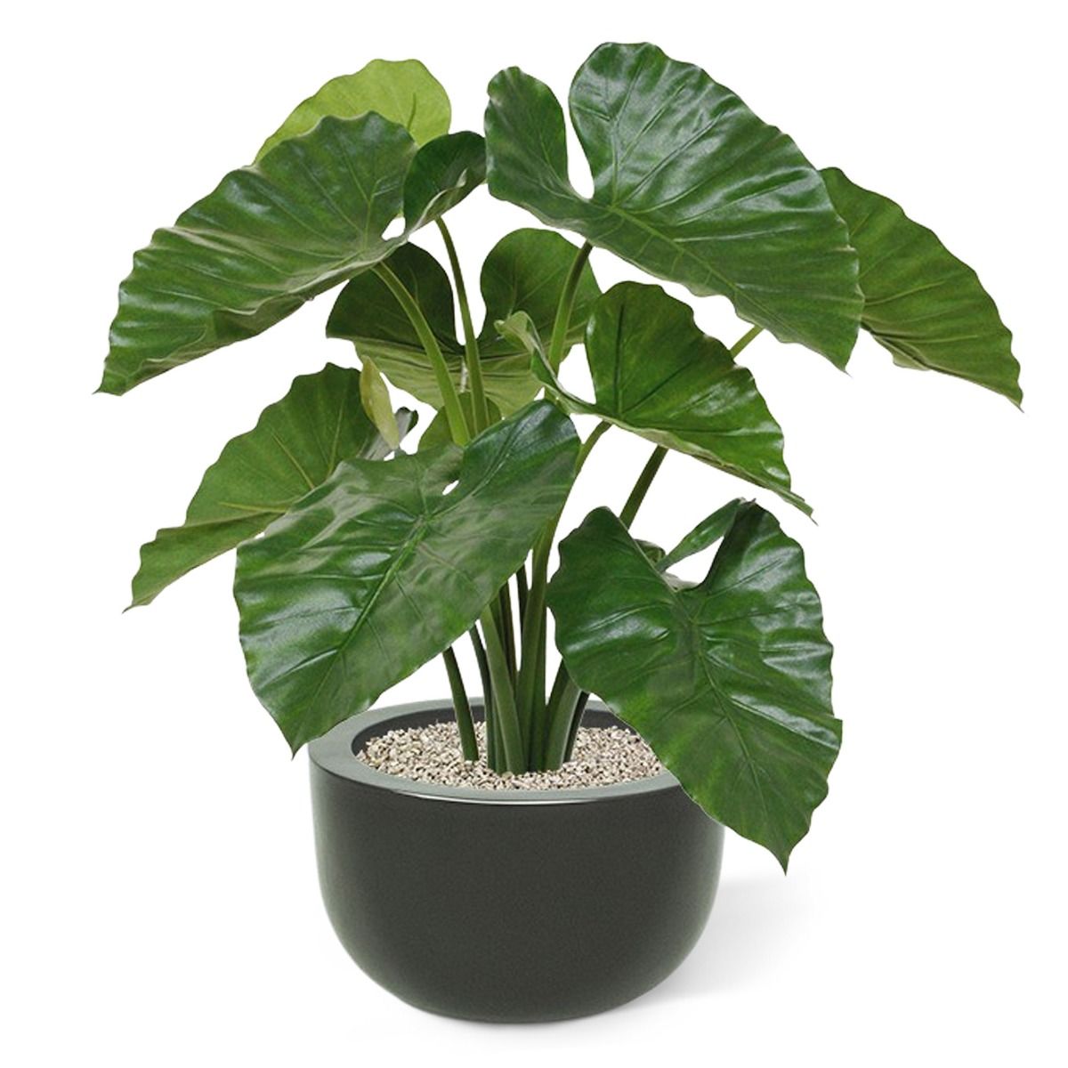 Alocasia Calidora kunstplant 70cm