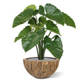 Alocasia Calidora kunstplant 70cm