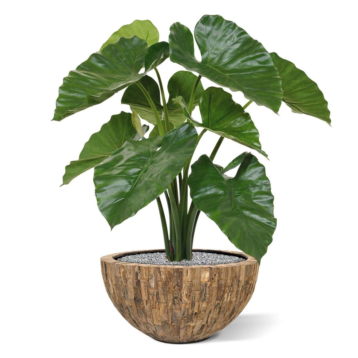 Alocasia Calidora kunstplant 70cm