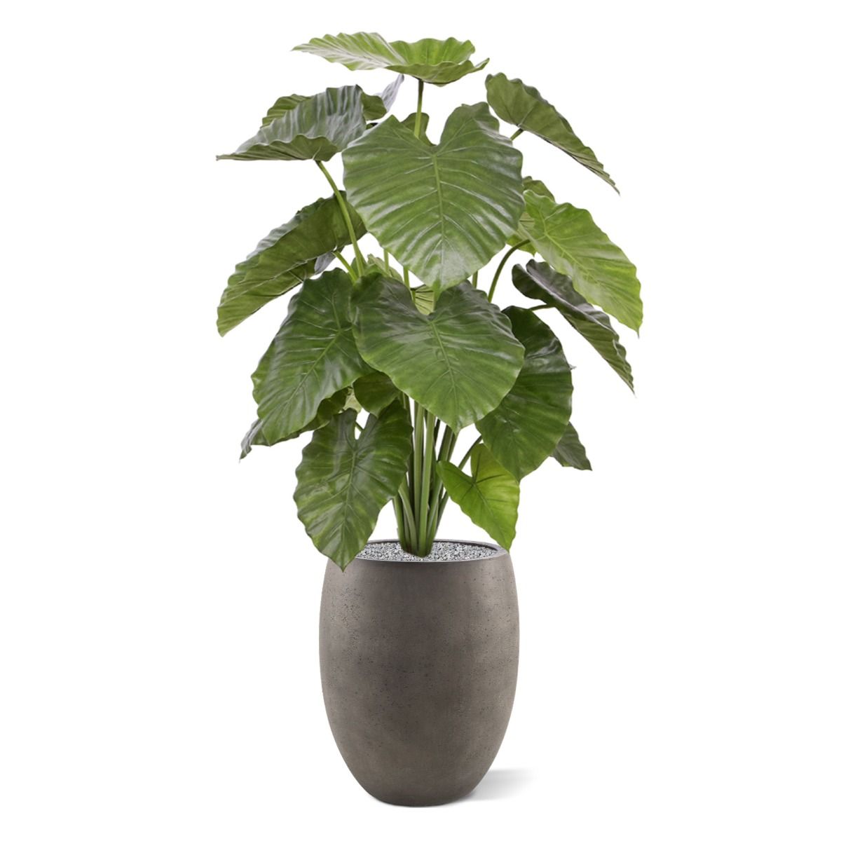 Alocasia Calidora kunstplant 115cm