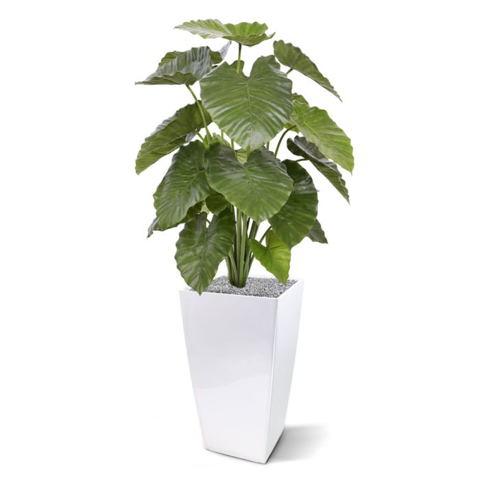 Alocasia Calidora kunstplant 115cm