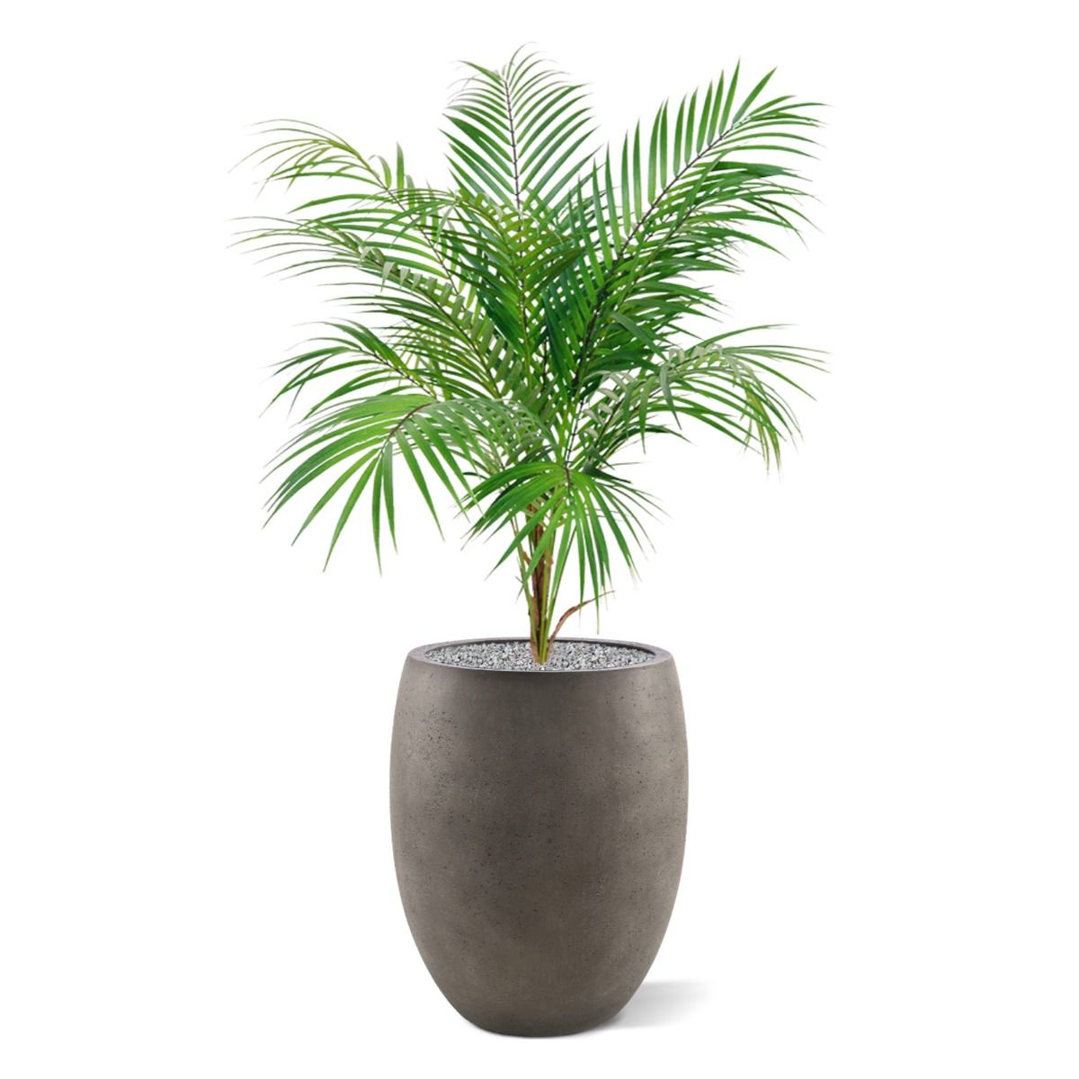 Areca kunstpalm 80cm
