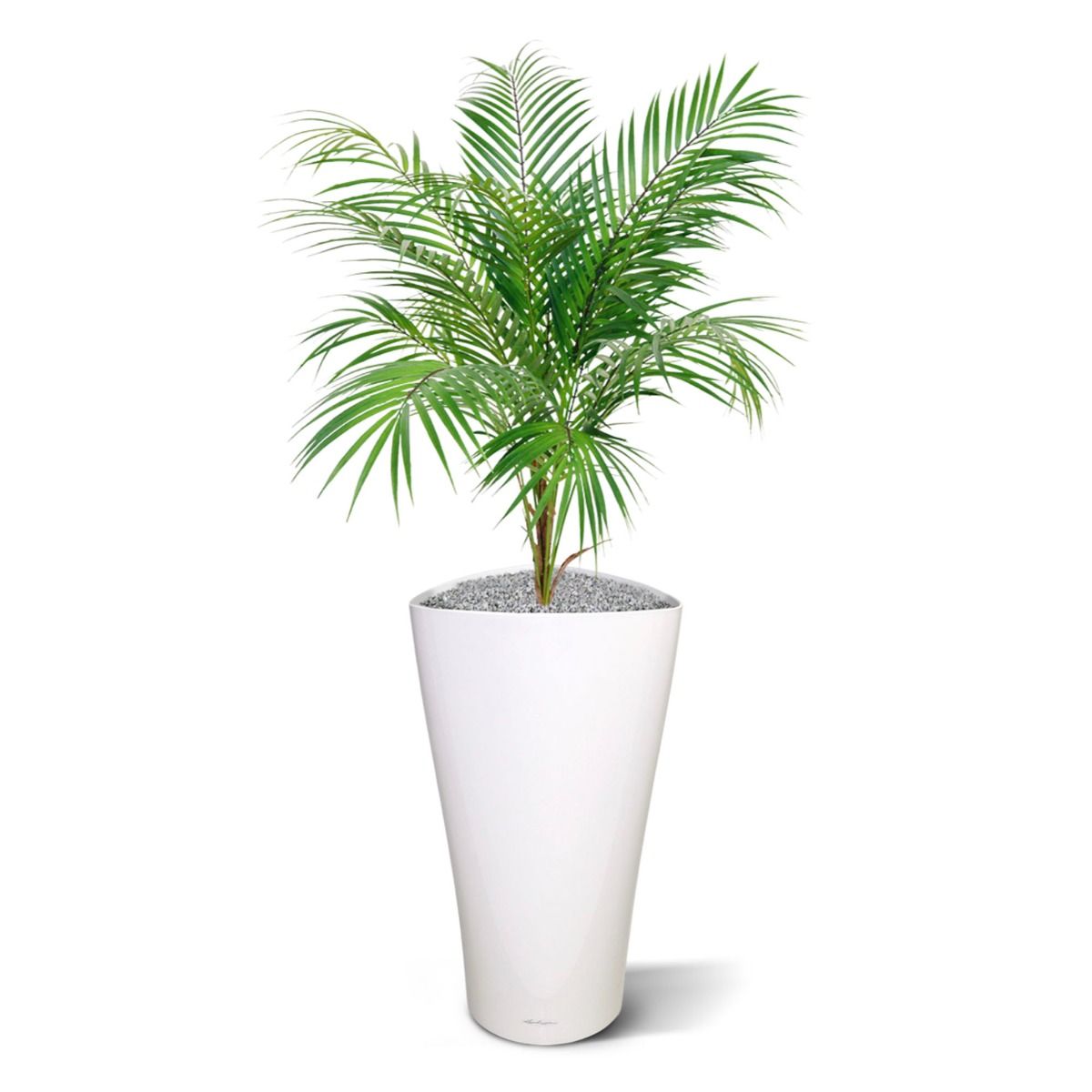 Areca kunstpalm 80cm