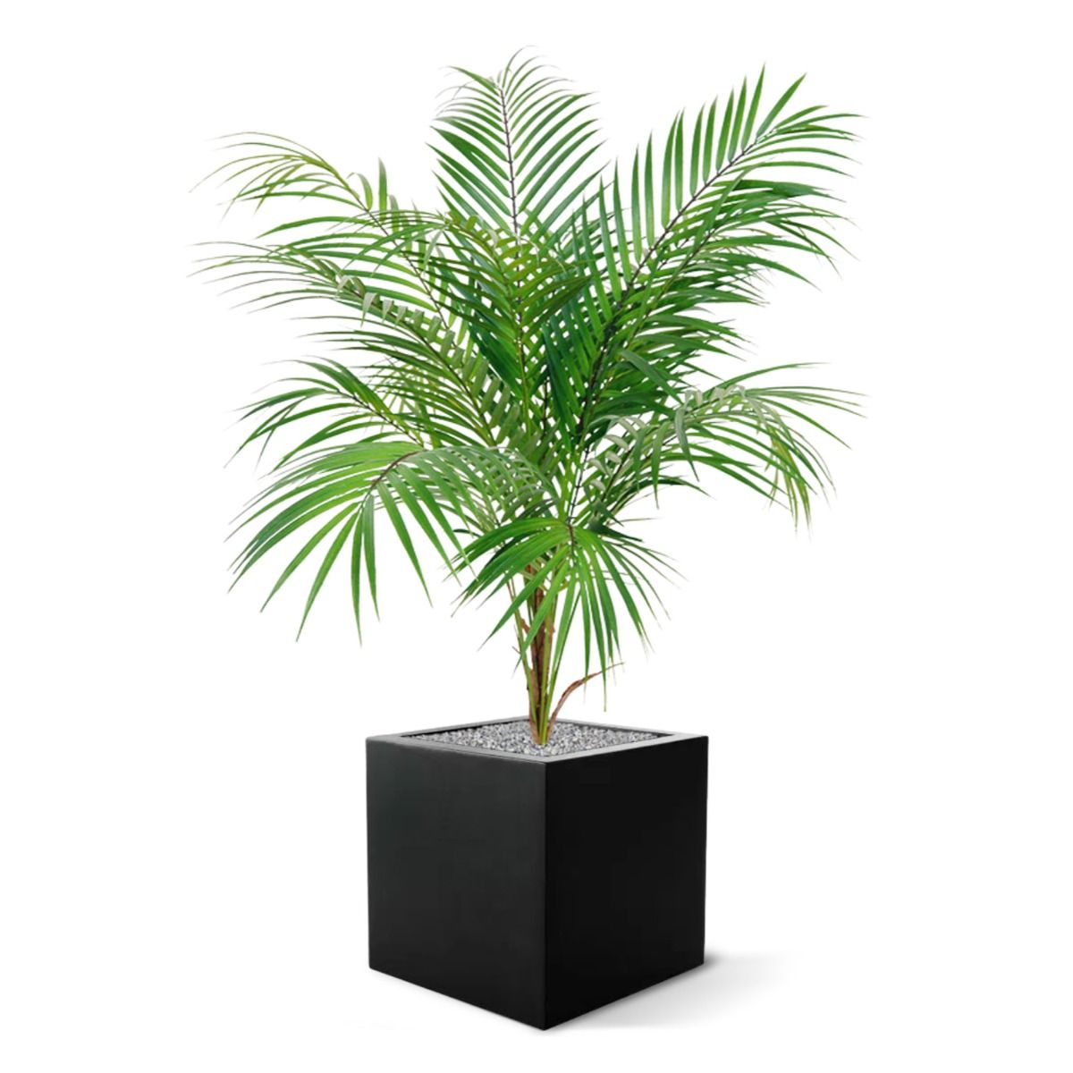 Areca kunstpalm 80cm