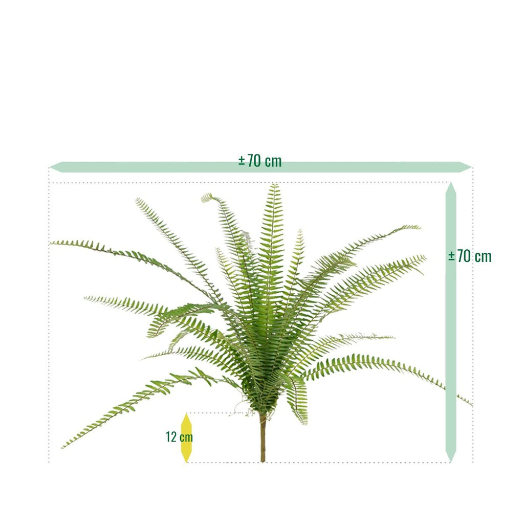 Asplenium Varen kunstplant 75cm