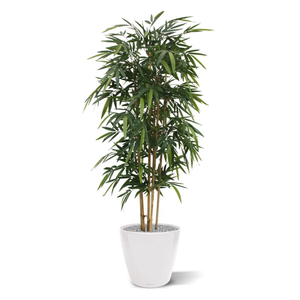 Bamboe kunstplant 180cm