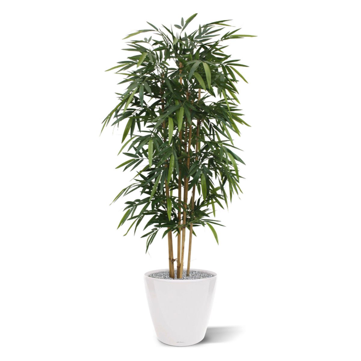 Bamboe kunstplant 180cm