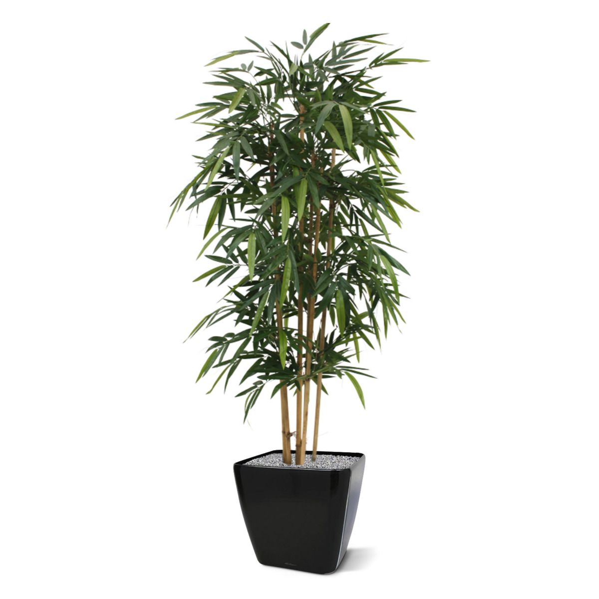 Bamboe kunstplant 180cm