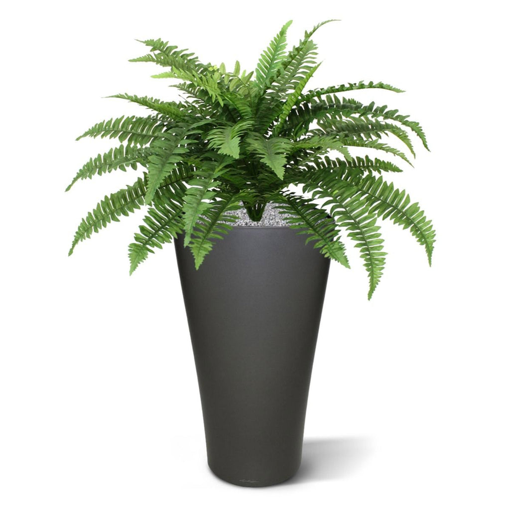 Boston Varen deluxe kunstplant 65cm in pot