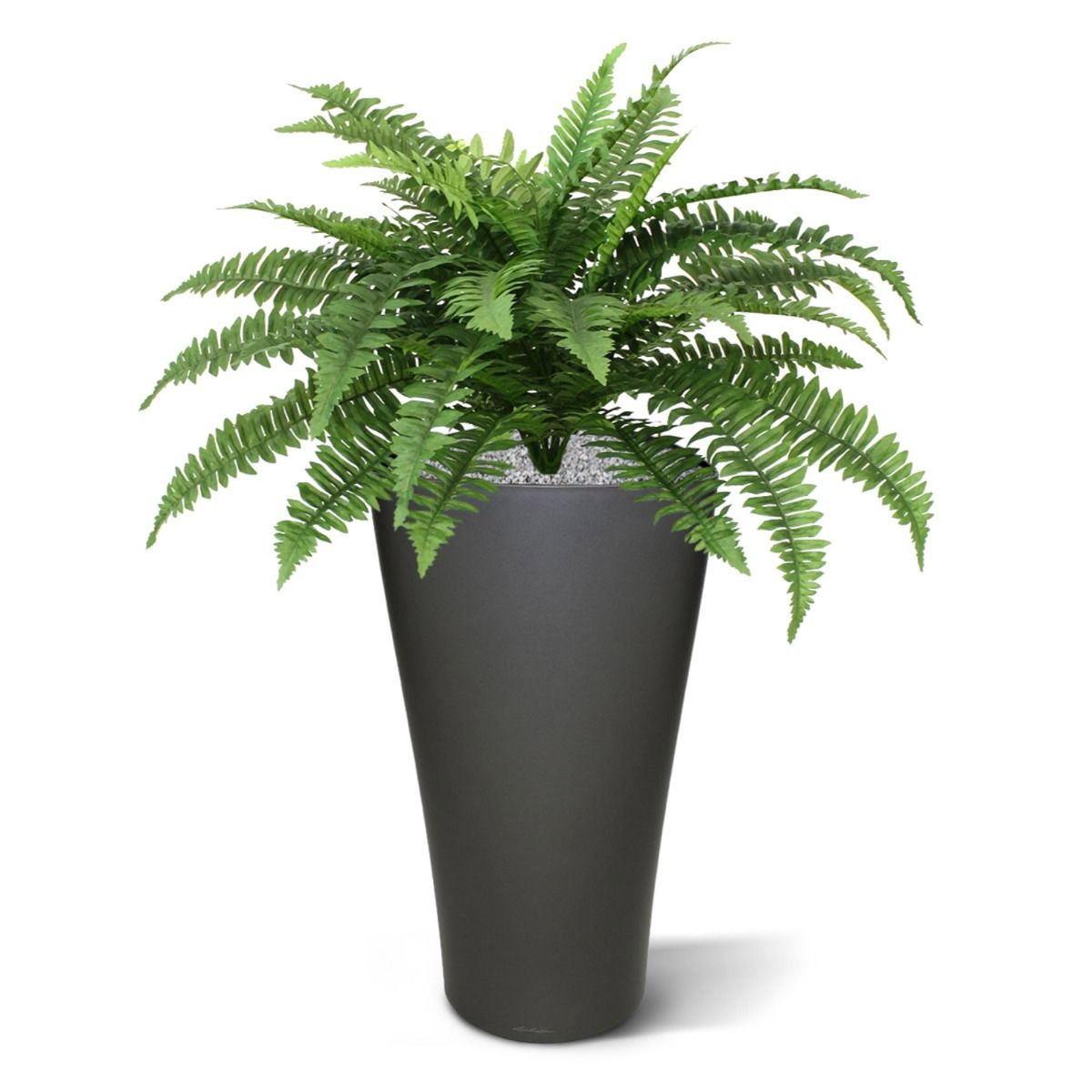 Boston Varen deluxe kunstplant 65cm in pot