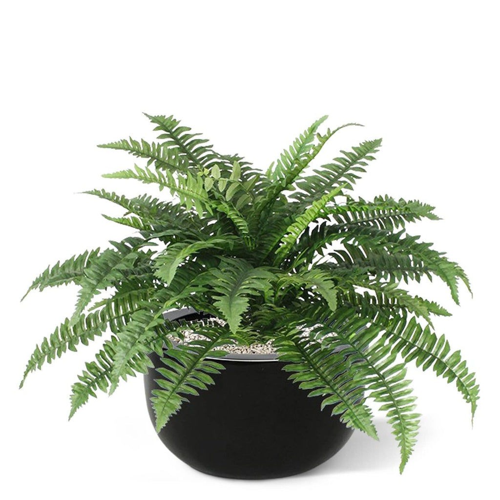 Boston Varen deluxe kunstplant 65cm in pot