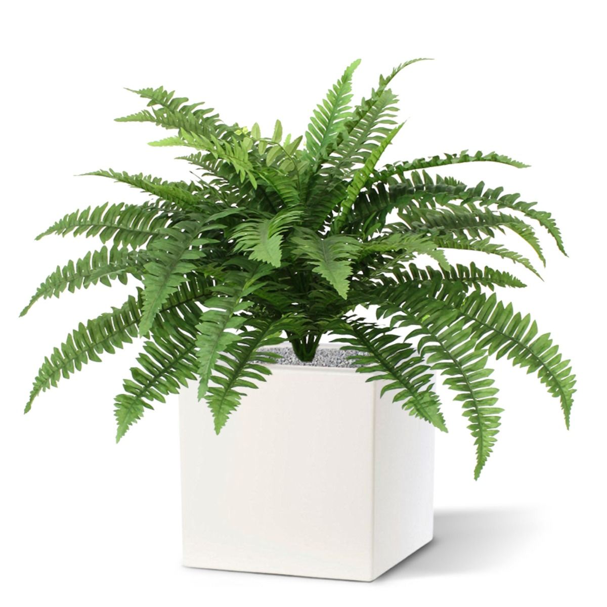 Boston Varen deluxe kunstplant 65cm in pot
