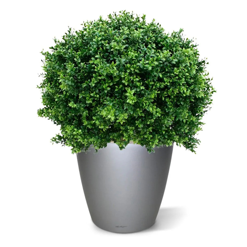 Kunstzinnige buxusbol voor buiten, 80 cm, UV-beschermd.