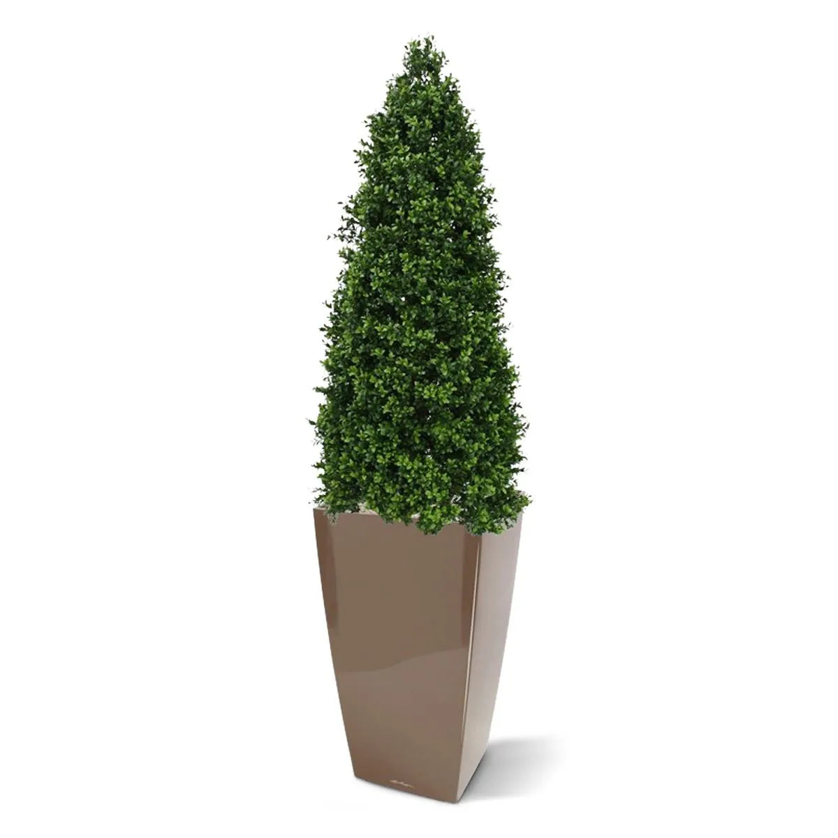 Kunstzinnige buxuspiramide voor buiten, 170 cm, UV-beschermd.