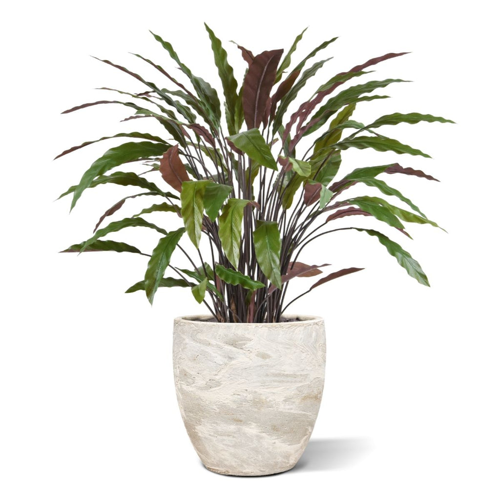 Calathea kunstplant 85cm - groen/rood