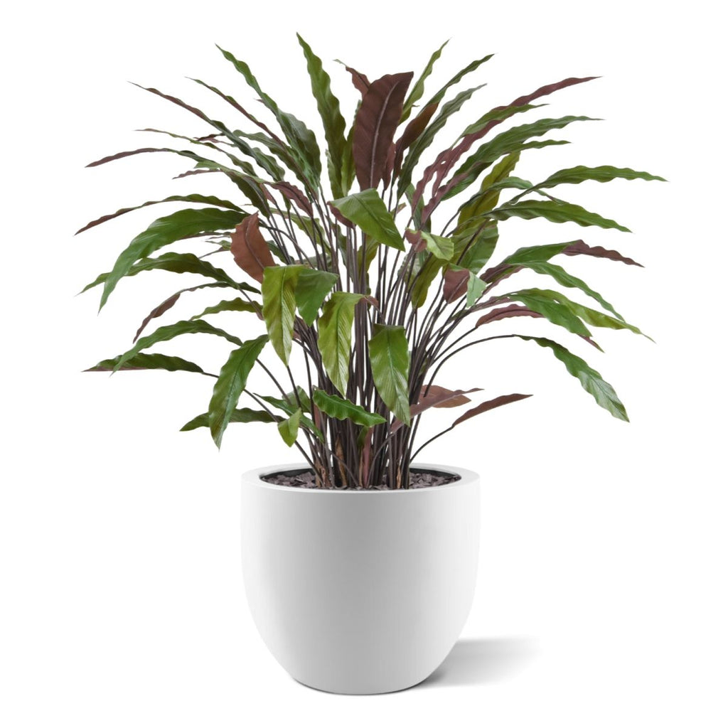 Calathea kunstplant 85cm - groen/rood