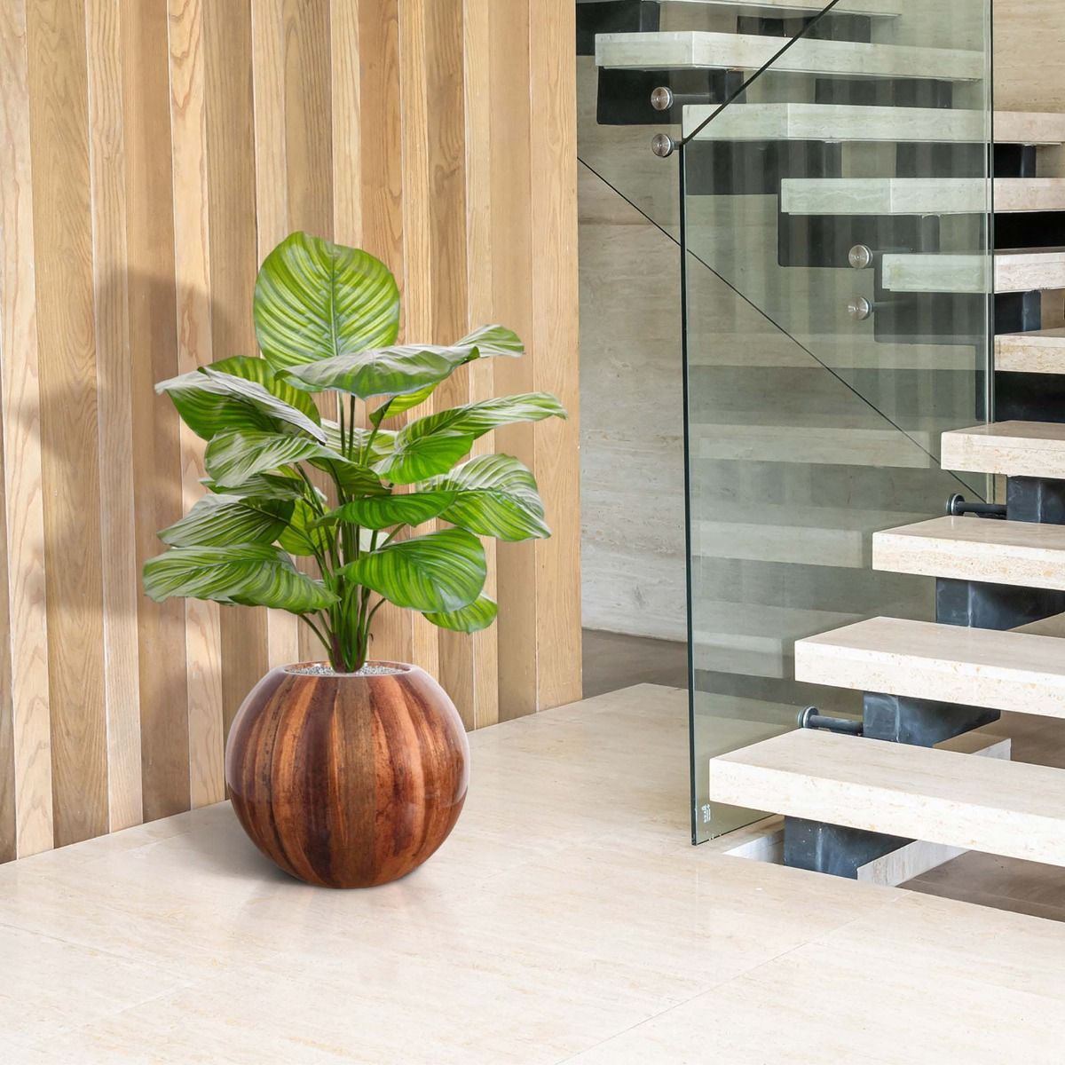Calathea Fasciata kunstplant 70cm