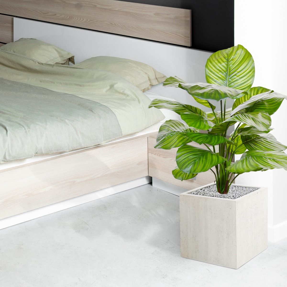 Calathea Fasciata kunstplant 70cm