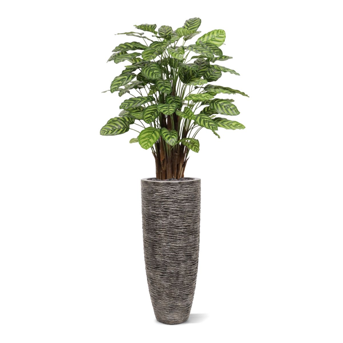 Calathea Makoyana kunstplant Deluxe 115cm