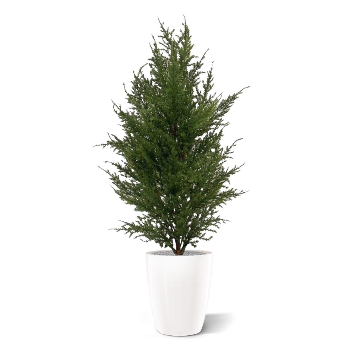 Conifeer kunstplant 50cm