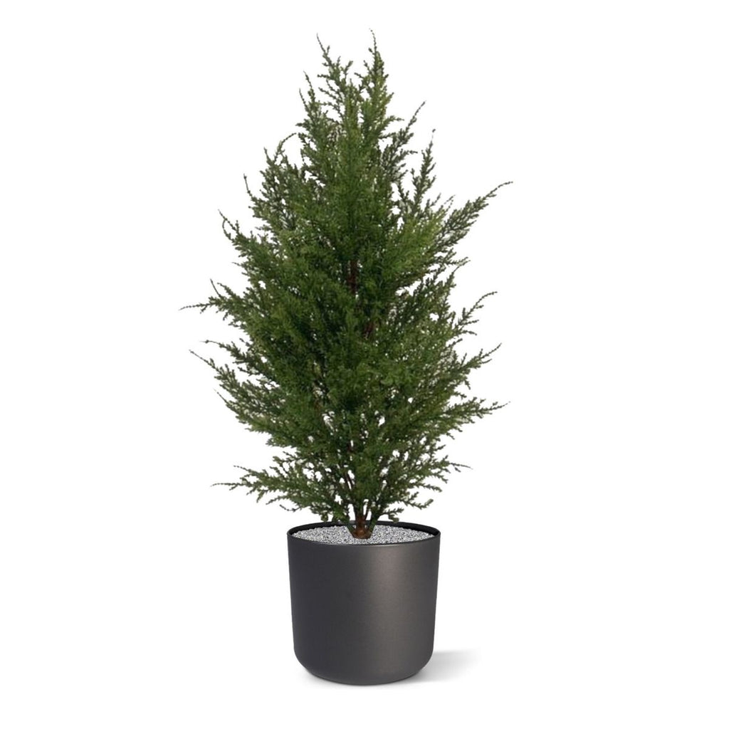 Conifeer kunstplant 50cm