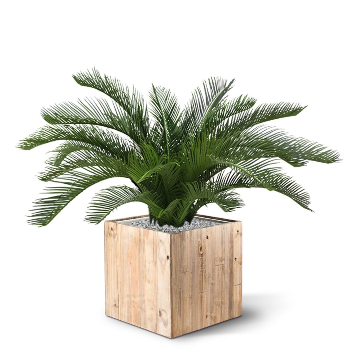 Cycas deluxe kunstpalm 60cm