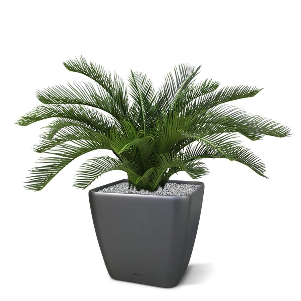 Cycas deluxe kunstpalm 60cm