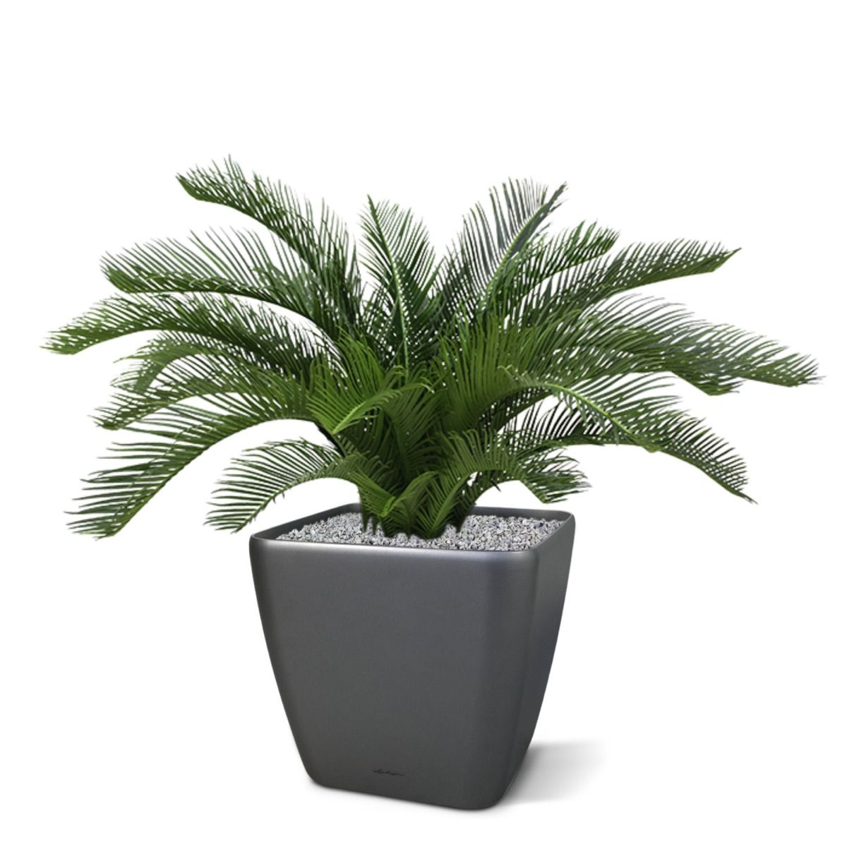 Cycas deluxe kunstpalm 60cm