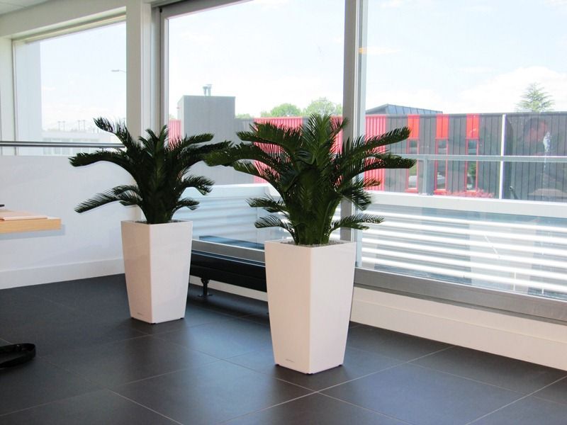 Cycas deluxe kunstpalm M 80cm